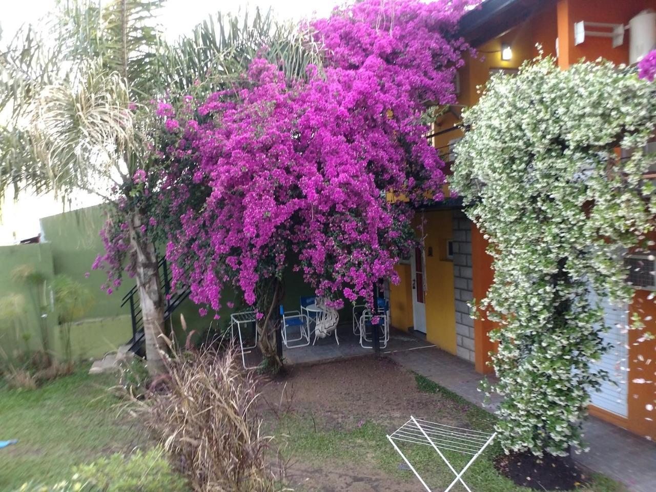 Aparthotel Costas Del Paraiso *